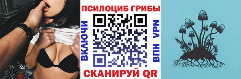 Галлюциногенные грибы Psilocybe  Юрга 