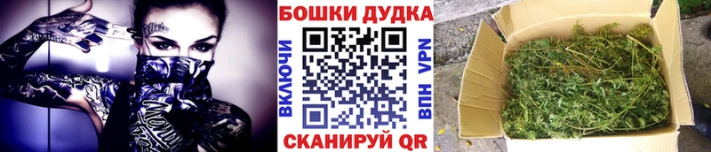 Конопля план  купить наркотики цена  Юрга 